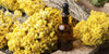 Huile essentielle d'Immortelle de CORSE | hélichrysum italicum | Casa Vecchia